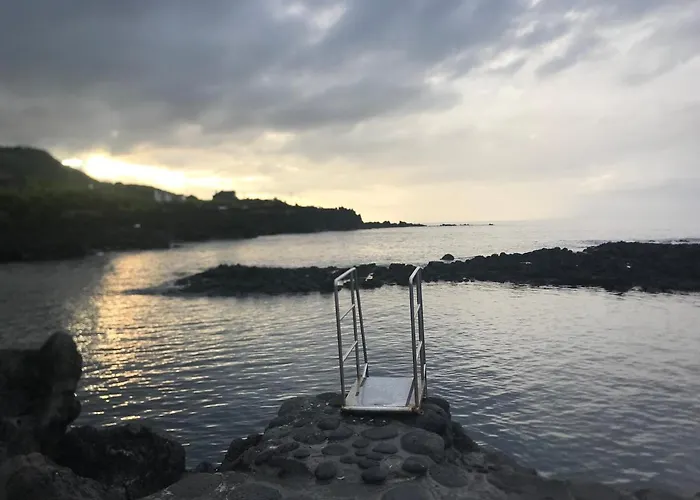 Adega Do Cachalote *